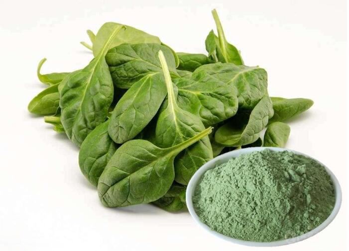 Organic Spinach Powder