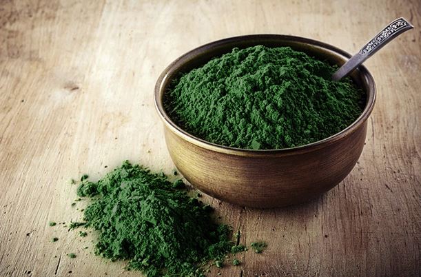 Chlorella Vulgaris Powder-1 Chlorella Vulgaris Powder-1