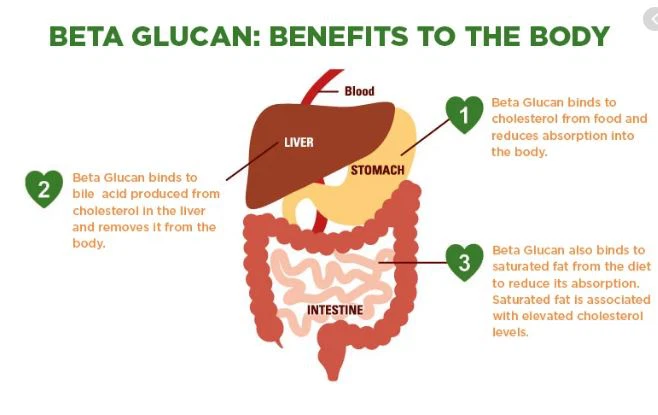 Beta glucan BENEFITS