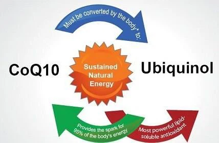 Ubiquinol vs CoQ10 Benefits Ubiquinol vs CoQ10 Benefits