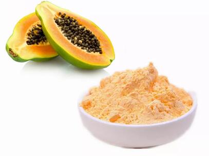 Papaya Fruit Powder Application Papaya Fruit Powder Application