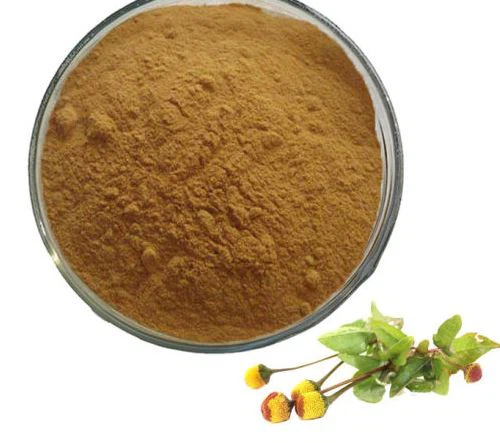 acmella oleracea extract suppliers.png