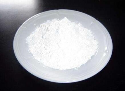 birch extract for skin