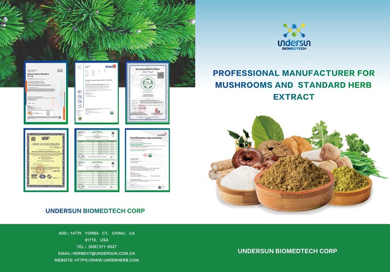 exhibition list P1 exhibition list P1