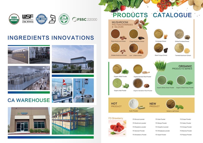 exhibition Catagories exhibition Catagories