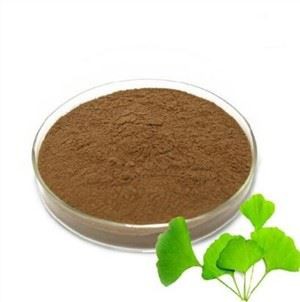 Ginkgo Biloba prah
