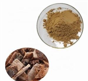 Ekstrakt kore skliskog brijesta