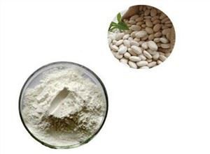 Prah od bijelog bubrega