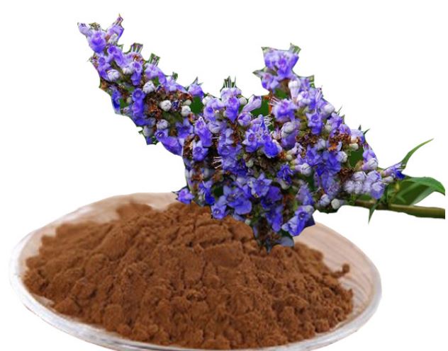 Ekstrakt vitex bobica